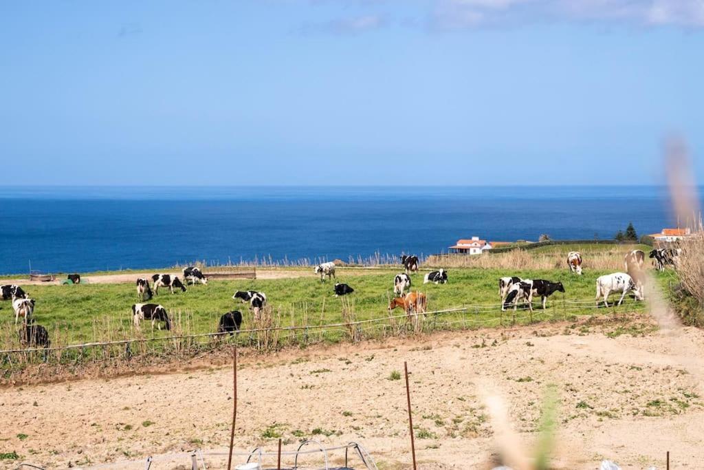 هيبيرا غْريندي Country House In Azores - S. Miguel المظهر الخارجي الصورة